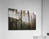 Breathe Acrylic Print