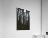 Mystery 2 Acrylic Print