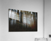 Mystery Acrylic Print