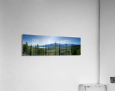 What a View Acrylic Print