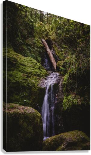 Nile Creek Canvas Print