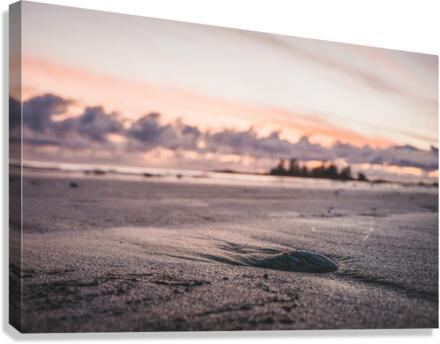 Pink Sky at Night... Canvas Print