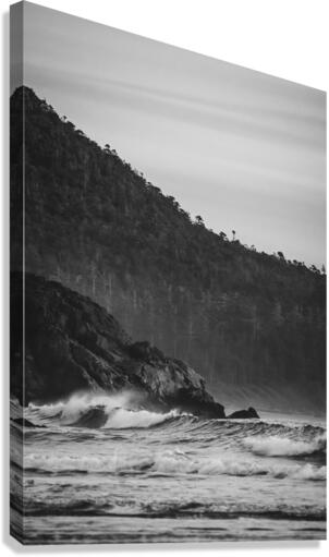 Crashing Wave B&W Canvas Print