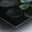 Succulents 2 Metal print