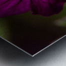 Floral Metal print
