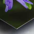Wildflower Metal print
