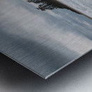 Fly Metal print