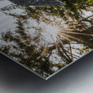 Homestead Metal print