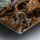 Bark Metal print