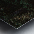 Rainforest Boardwalk Metal print