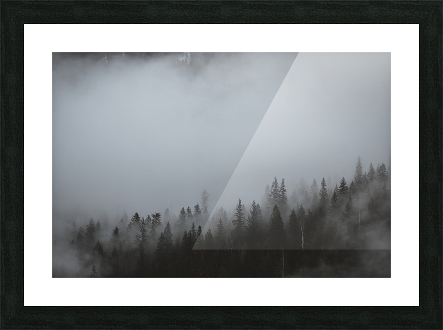 Foggy Forest Picture Frame print