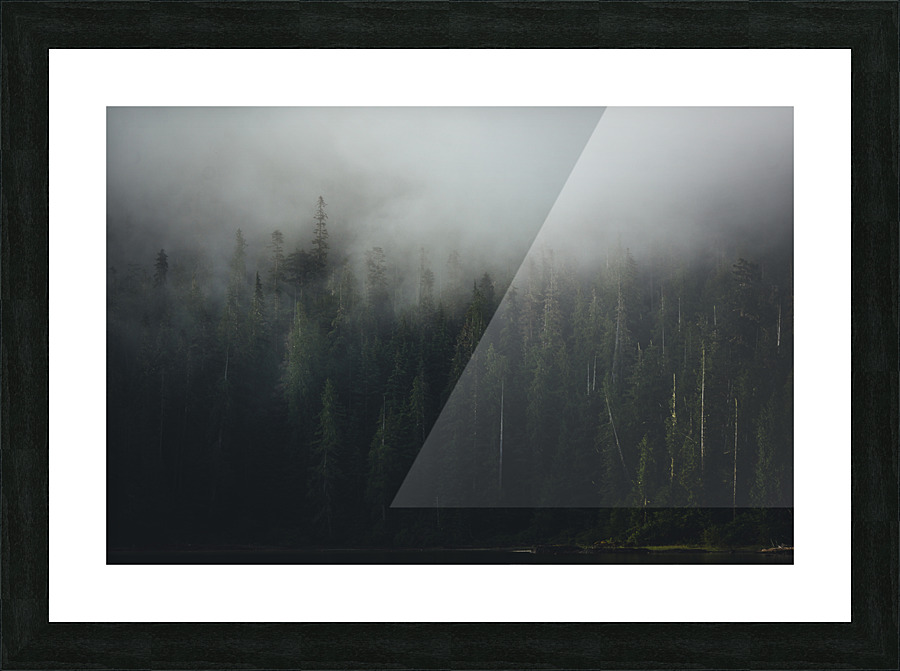 Old Growth Forest Picture Frame print