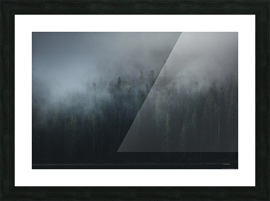 Misty Forest Picture Frame print