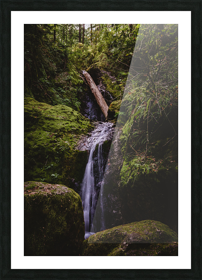 Nile Creek Picture Frame print