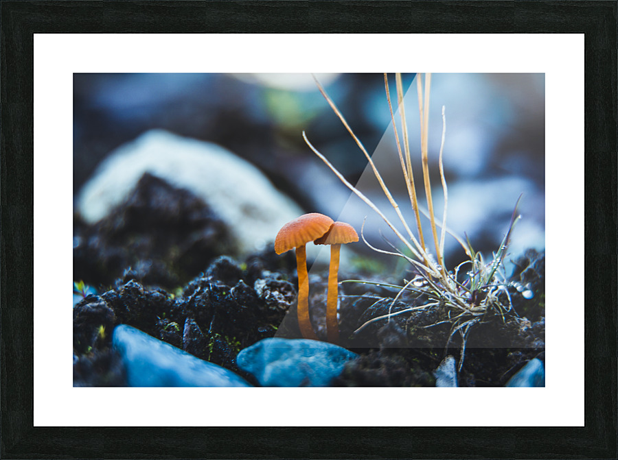 Fun Guys Picture Frame print