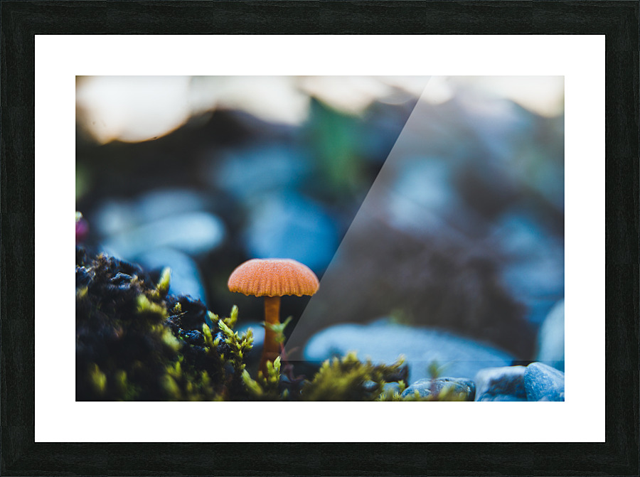 Fun Guy Picture Frame print