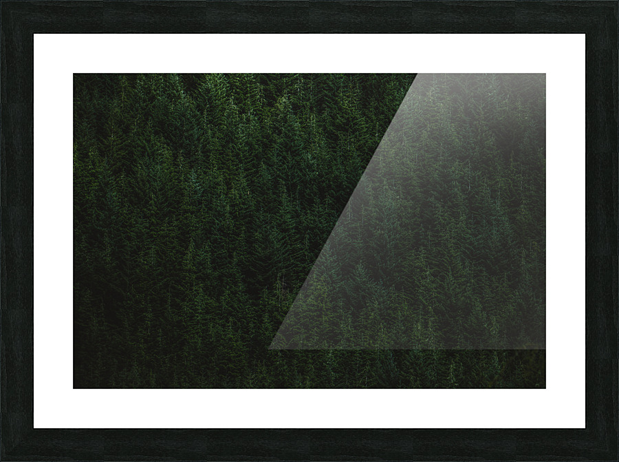 Tree tops Picture Frame print