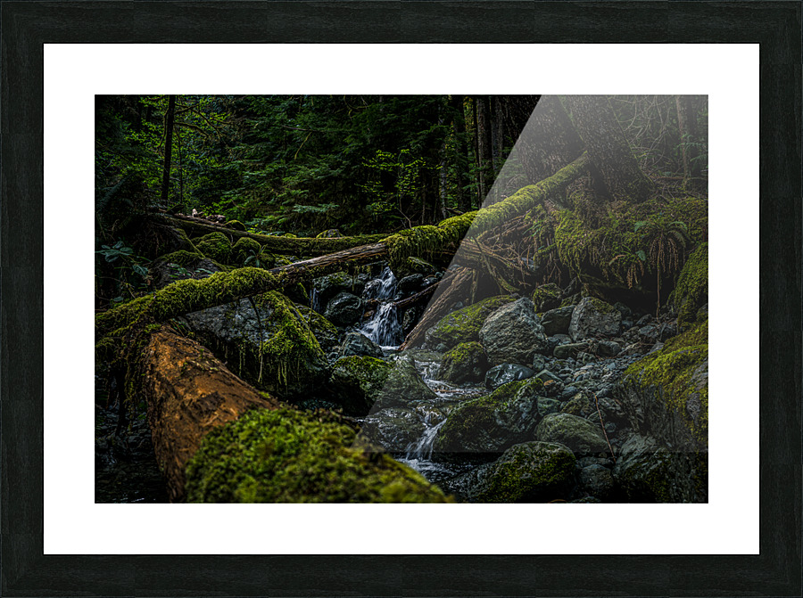 Creek bed Picture Frame print