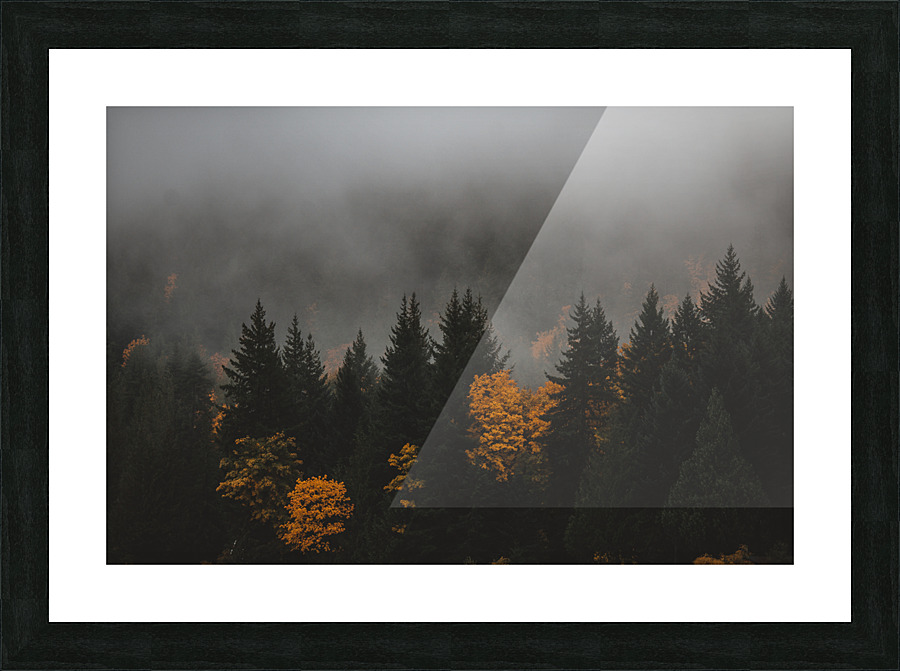 Fall Picture Frame print