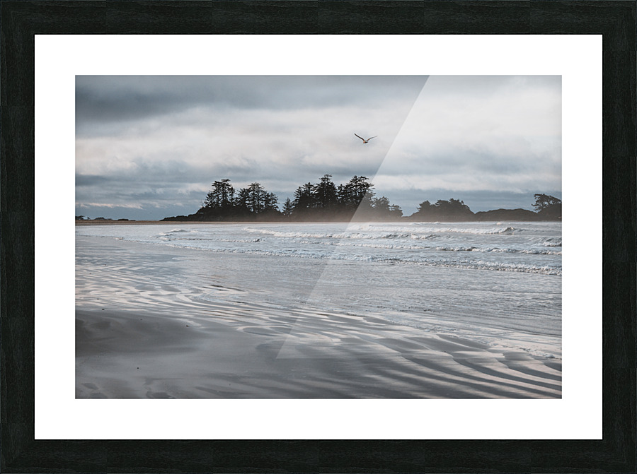 Fly Picture Frame print