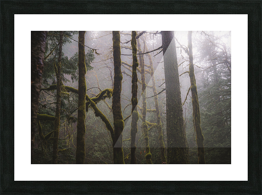 Breathe Picture Frame print