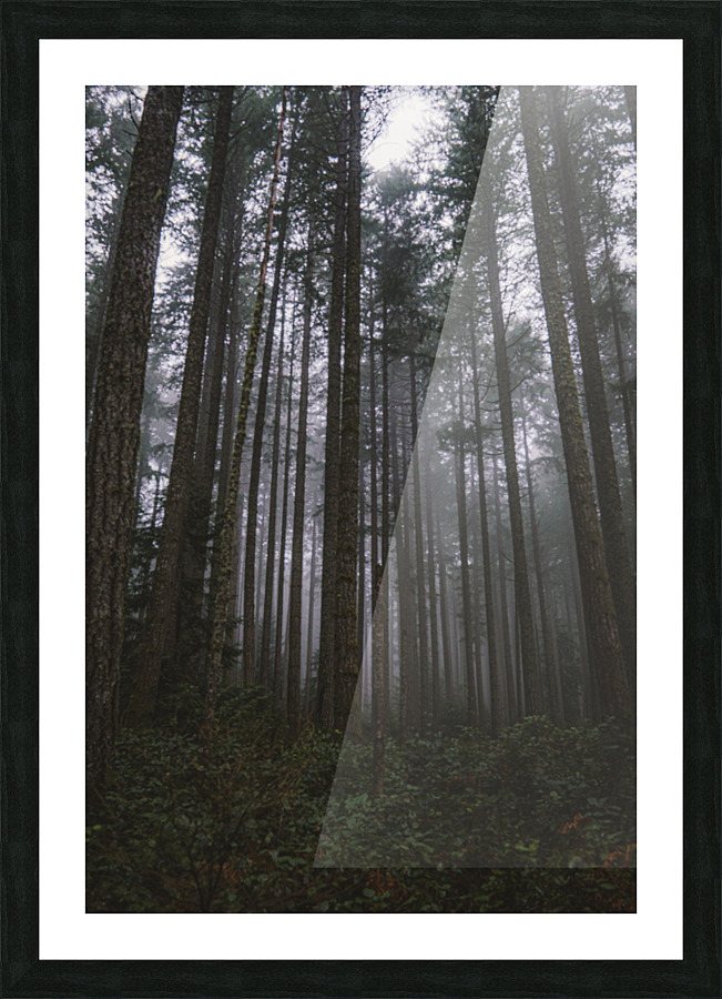 Mystery 2 Picture Frame print