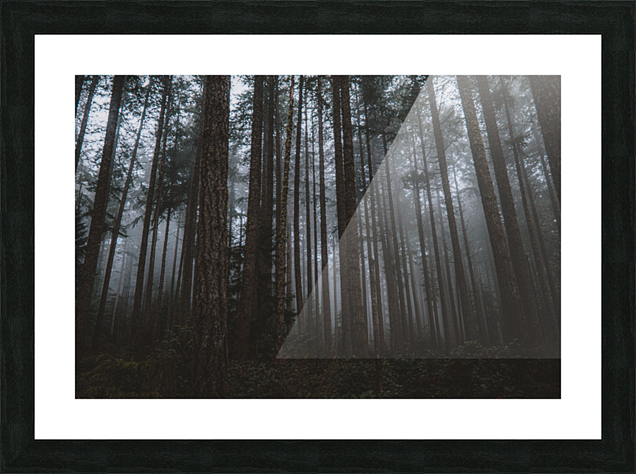 Mystery Picture Frame print