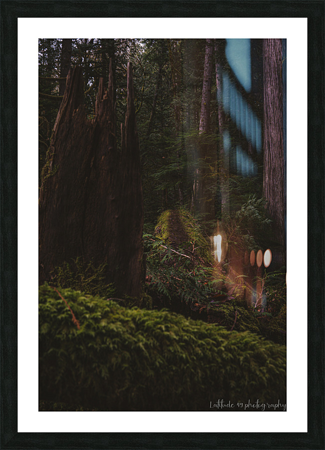 Path to the Forest Picture Frame print