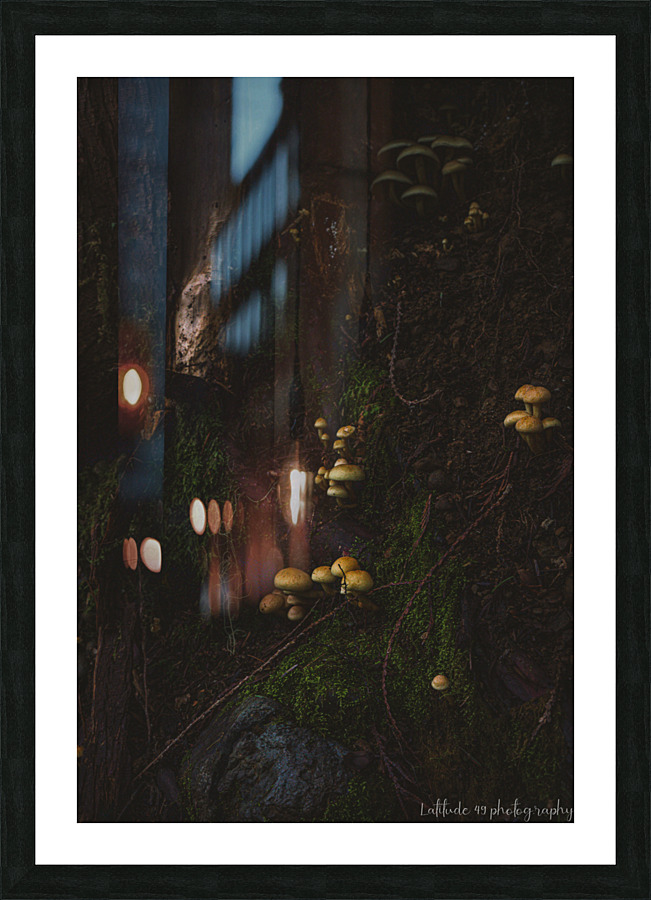 Pedestals Picture Frame print