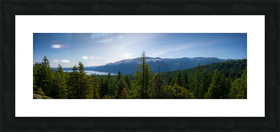What a View Picture Frame print