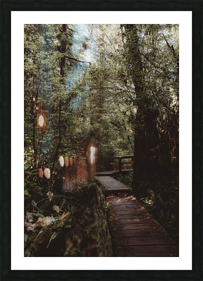 Boardwalk Picture Frame print
