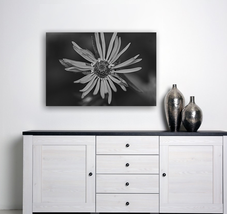 Wildflower B&W Reproduction