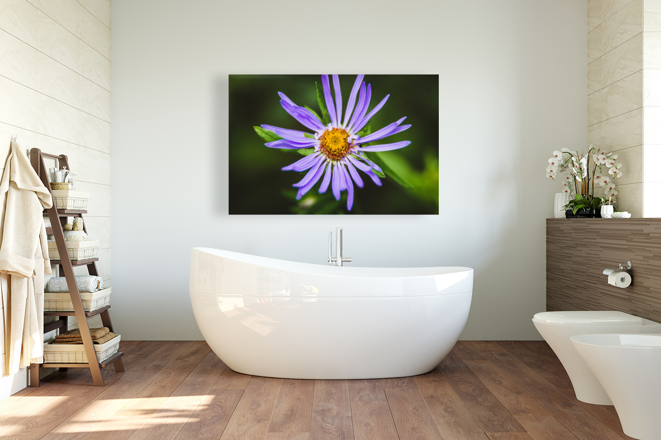 Wildflower Reproduction