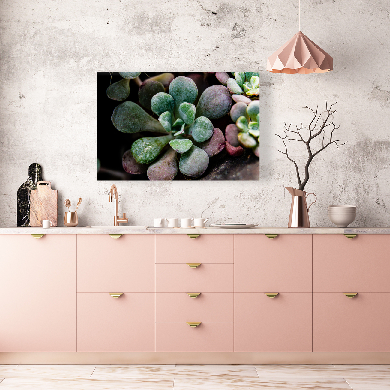 Succulents Reproduction