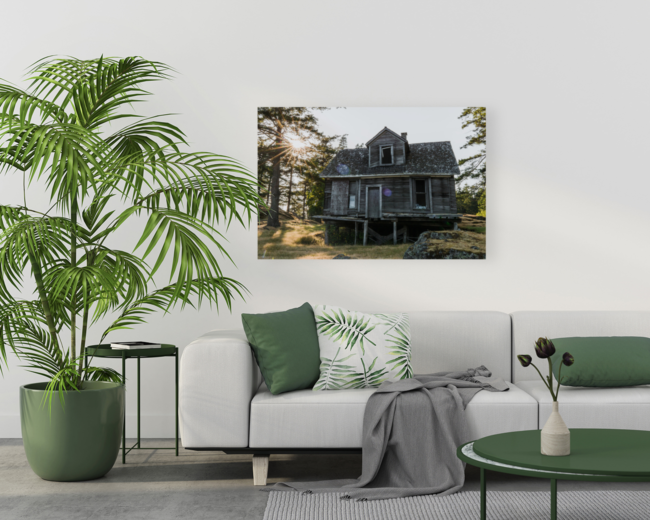 Homestead Reproduction
