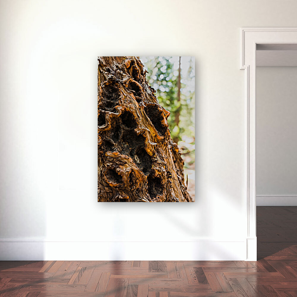 Bark Reproduction