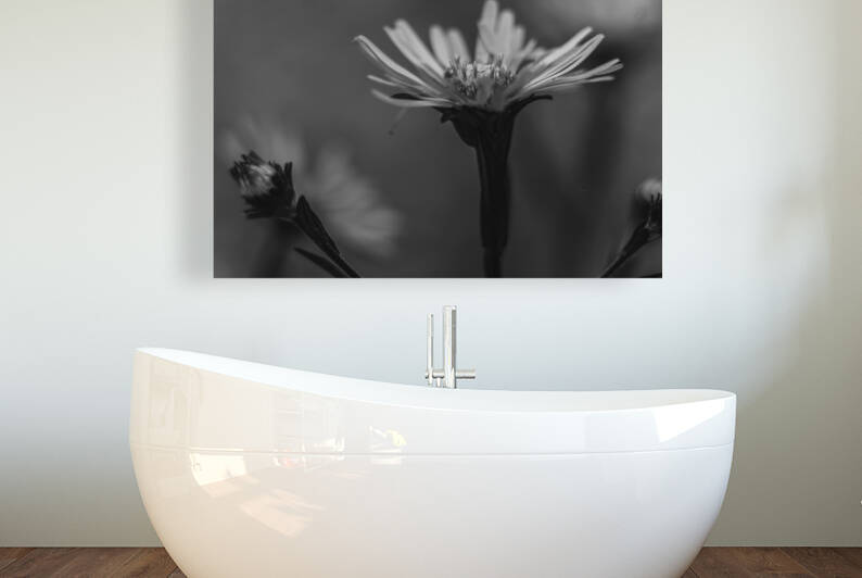 Wildflowers B&W Reproduction