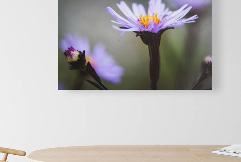 Purple Wildflowers Reproduction