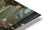 Old mans beard HD Metal print