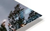 Best Friends Views HD Metal print