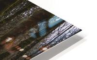 Englishman River Forest HD Metal print