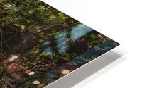 Nile Creek HD Metal print