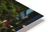 Revelstoke HD Metal print