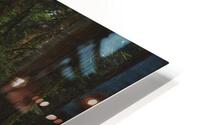Forest Floor HD Metal print