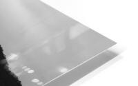 Surfs Up B&W HD Metal print
