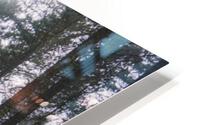Mystery 2 HD Metal print