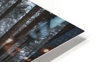 Mystery HD Metal print