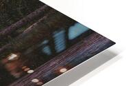 Path to the Forest HD Metal print