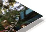Foxglove HD Metal print