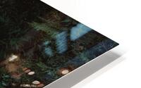 Rainforest Boardwalk HD Metal print